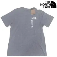 US限定 ノースフェイス L ハーフドーム 両面ロゴ 半袖Tシャツ グレー