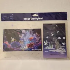 東京ディズニーランド リーチフォーザスターズ ポストカード2枚セット