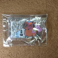 秋桜❁⃘*.゜様 リクエスト 4点 まとめ商品