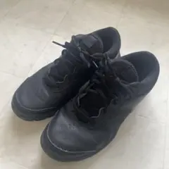 Item thumbnail for item 443c0155-256d-48b2-8499-269c8a130865