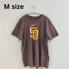 【訳あり】NIKE The NIKE Tee Tシャツ ブラウン