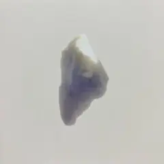 酩酊麻痺 光 CD THE NOVEMBERS ケンゴマツモト参加