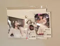 Item thumbnail for item 510417c8-b151-4964-983a-1fbdeecbf039