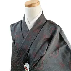 未着用！単衣＊結城紬＊亀甲＊菊唐草＊着物＊証紙付き＊訳あり