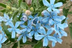 ノリノ様 リクエスト 2点 まとめ商品