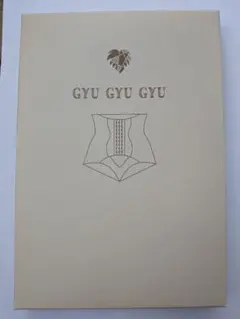 ★新品未使用　GYU GYU GYU ベージュ　Mサイズ　骨盤ガードルのサムネイル