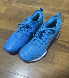 Item thumbnail for item 68ef0e09-4880-446d-be0f-7e9a304e5089