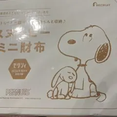 ゼクシィ10月号付録のみスヌーピーミニ財布