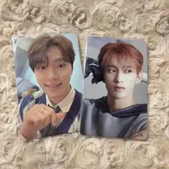 SEVENTEEN FML ディノ ドギョム トレカ 2枚 セット