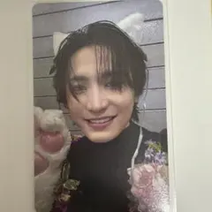 原因は自分にある。 桜木雅哉 FC 猫なでてトレカ