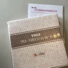 ベビーパーク TOEZ グローバルビジョンカード＋プリント付 ベビーパークTOEグローバルビジョンカードプリントセット (えってぃ
