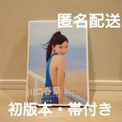 川口春奈 1st写真集 haruna