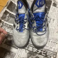 Item thumbnail for item ac866967-46c9-464d-9142-06b8dcd416b4