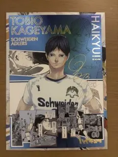 ハイキュー 箔押しイラストカード 影山飛雄