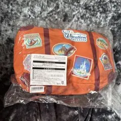 ディズニー　バケーションパッケージ　ブランケット