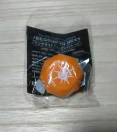 2025年最新】和泉三月 リングライトの人気アイテム - メルカリ