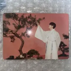 BTS テヒョン　テテ　V ダルマジュン　DALMAJUNG ミニフォト　トレカ