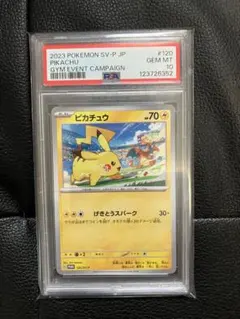 2025年最新】ピカチュウ psa10 スカーレットの人気アイテム