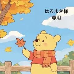 はるまき様 リクエスト 19点 まとめ商品