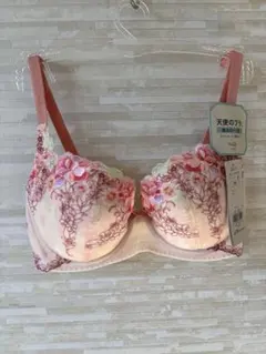 E65」トリンプ 天使のブラ(R) 魔法のハリ感556 ブラジャー