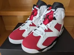 NIKE Air Jordan 6 29.0cm
