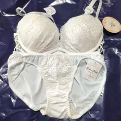 Dolce Fiora ブラジャーショーツセット E65 M　C