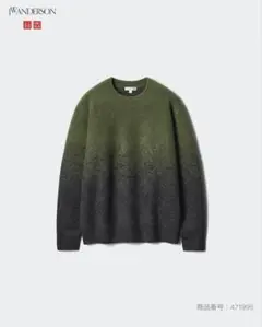 UNIQLO×JW ANDERSON スフレヤーングラデーションクルーネック