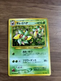 2026年最新】キレイハナ 旧裏の人気アイテム - メルカリ