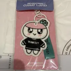 SEVENTEEN CARAT LAND ラゲッジタグ ボンボンイ - メルカリ