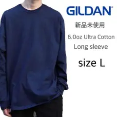 6l