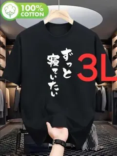10-412　新品　 3L　おもしろTシャツ　半袖Tシャツ　ギャグ