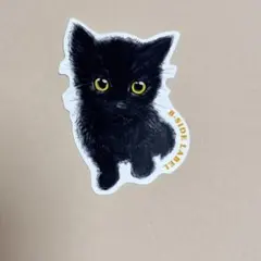 B-SIDE LABEL 黒猫シール
