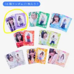 えびちゅう 私立恵比寿中学 スタトレ トレカ トレーディングカード 53枚コンプ えびちゅう 私立恵比寿中学 スタトレ トレカ トレーディング