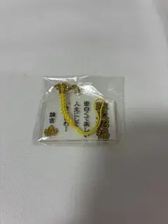 我々だ 天落記 論吉 シャオロン 絵馬 ストラップ