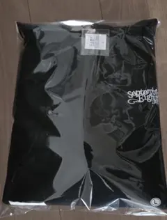 Item thumbnail for item 1e3fdf11-76d5-4e7d-a319-8ae7054bd33b