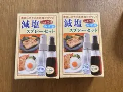 減塩スプレーセット 2箱セット