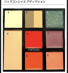 10　リミテッドエディション　リップコンシャス　ADDICTION