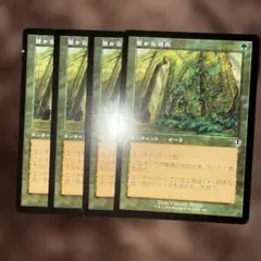 MTG 豊かな成長/Abundant Growth 旧枠　4枚セットのサムネイル