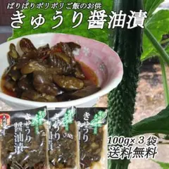 きゅうりの醤油漬け３袋　夏にさっぱり★のサムネイル