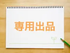 専用出品