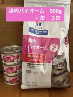 Item thumbnail for item fdcaa6b4-fae8-4b5e-b3b3-182643333718