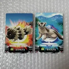 ポケモン ずかんカード ジグザグマ マッスグマ 当時物 希少
