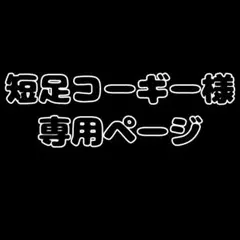 【ウィッグオーダー】短足コーギー様専用ページ(2月11日使用)