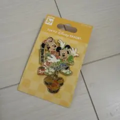 東京ディズニーリゾート ピンバッジセット 2013