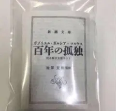 百年の孤独 池澤夏樹監修 読み解き支援キット
