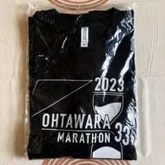 【新品・未開封】大田原マラソン 2023 参加賞Tシャツ M ランニングのサムネイル