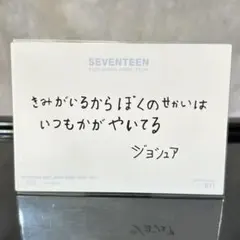 seventeen セブチ ジョシュア メッセージ トレカ ドームツアー SVT