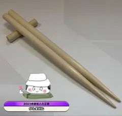 Item thumbnail for item 3a01114b-64d0-478e-8b86-aa7365830026