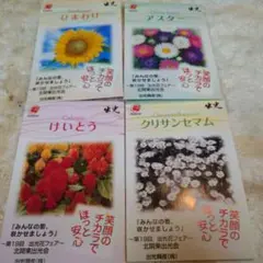 花の種　4種類（けいとう、クリサンセマム、ひまわり、アスター）のサムネイル