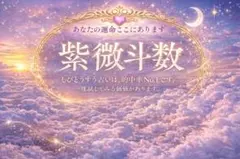 2026年最新】紫微斗数占い入門 生まれてきた意味がわかるの人気